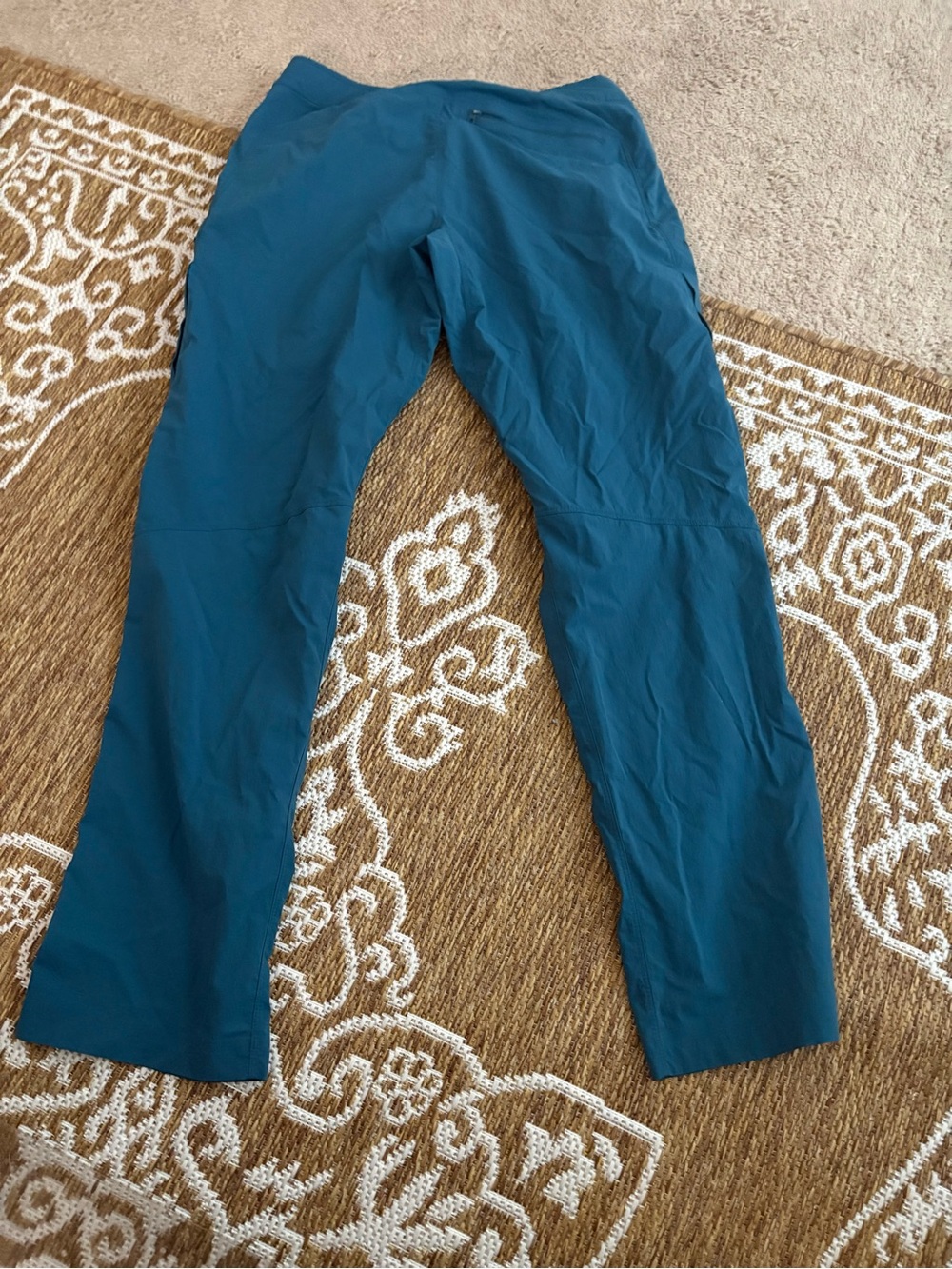 Arcteryx Gore-Tex RECCO Men Ski Snow Pant Teal Blue 32/34* Waterproof Windproof